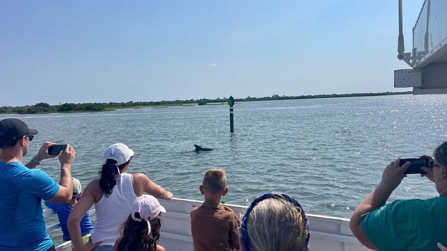 Dolphin and Wildlife Adventure of St. Augustine