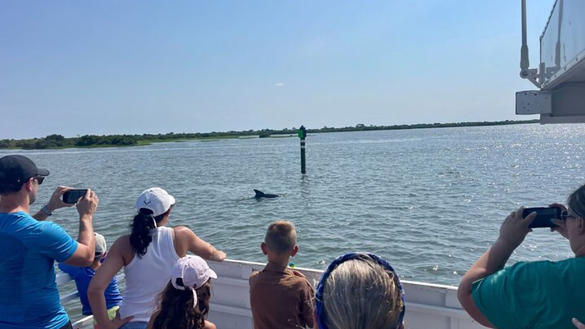 Aventura con delfines y vida silvestre de San Agustín