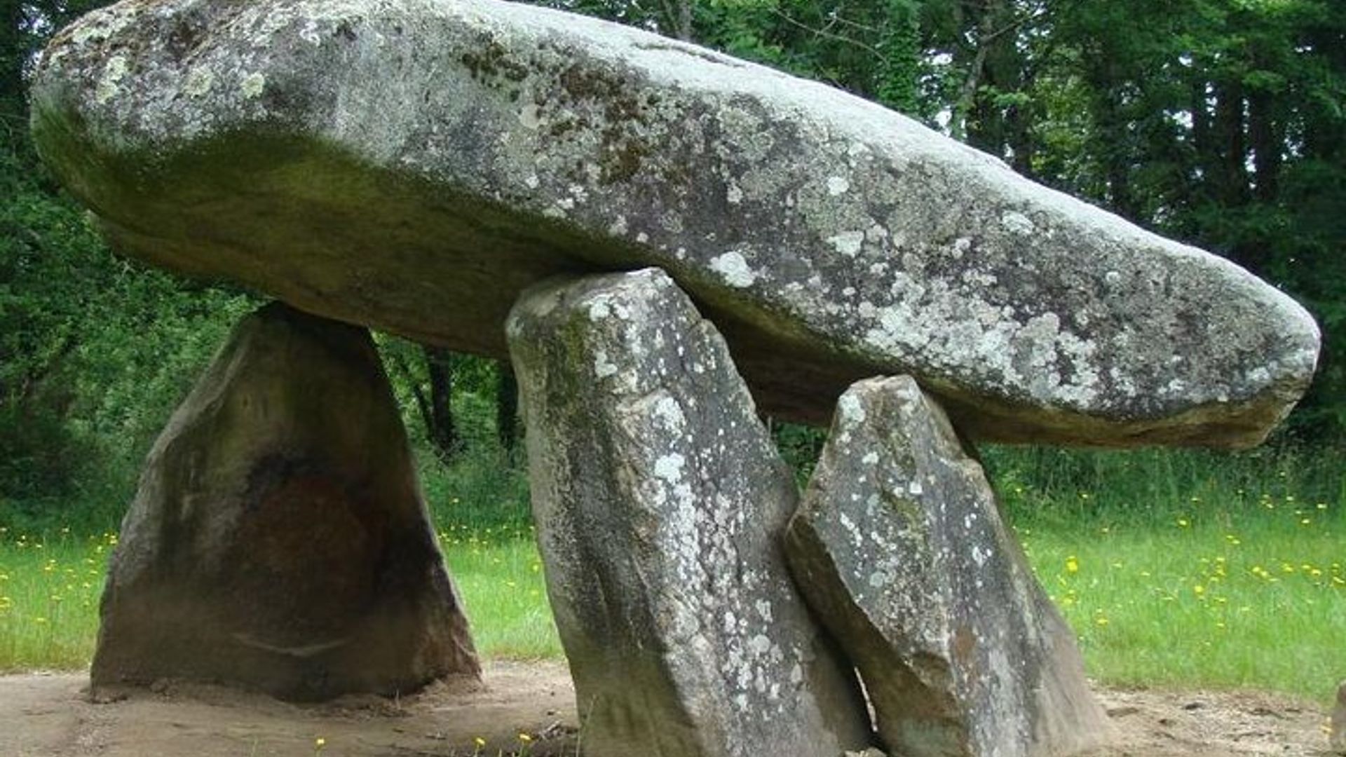 Private Lascaux Caves and Dordogne Valley Day Trip