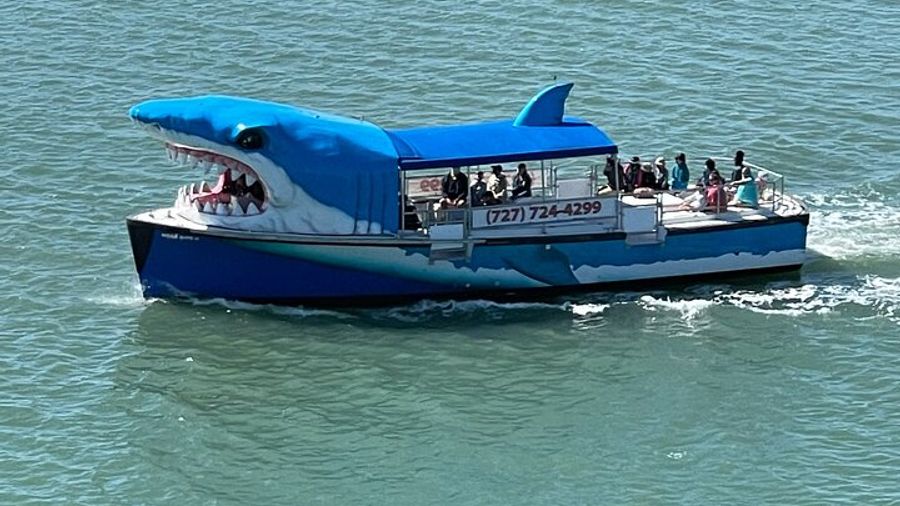 Clearwater Beach Dolphin-Attracting Boat Ride