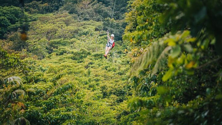 Selvatura Park Gold Package (Canopy & Hanging Bridges)