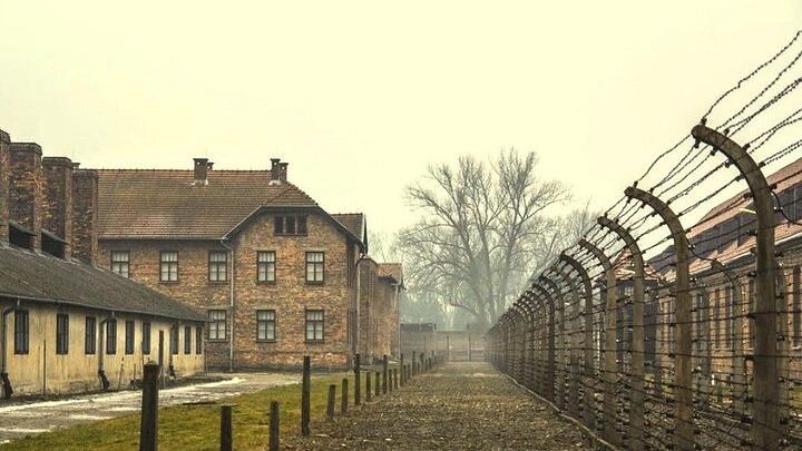 Guided Tour of Auschwitz-Birkenau with Transfers from Kracow