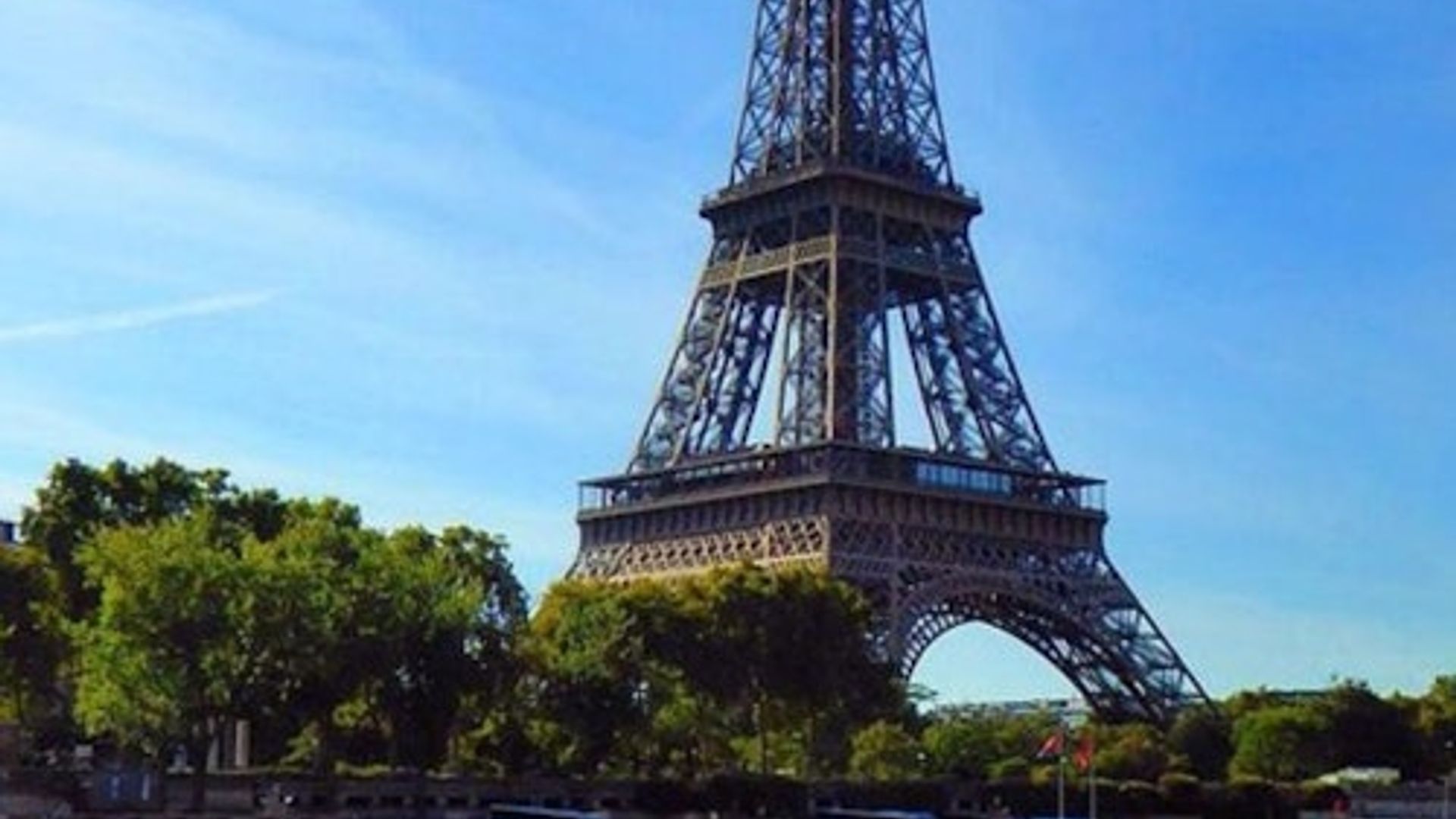 Seine River: Guided Sightseeing Cruise by Vedettes du Pont Neuf
