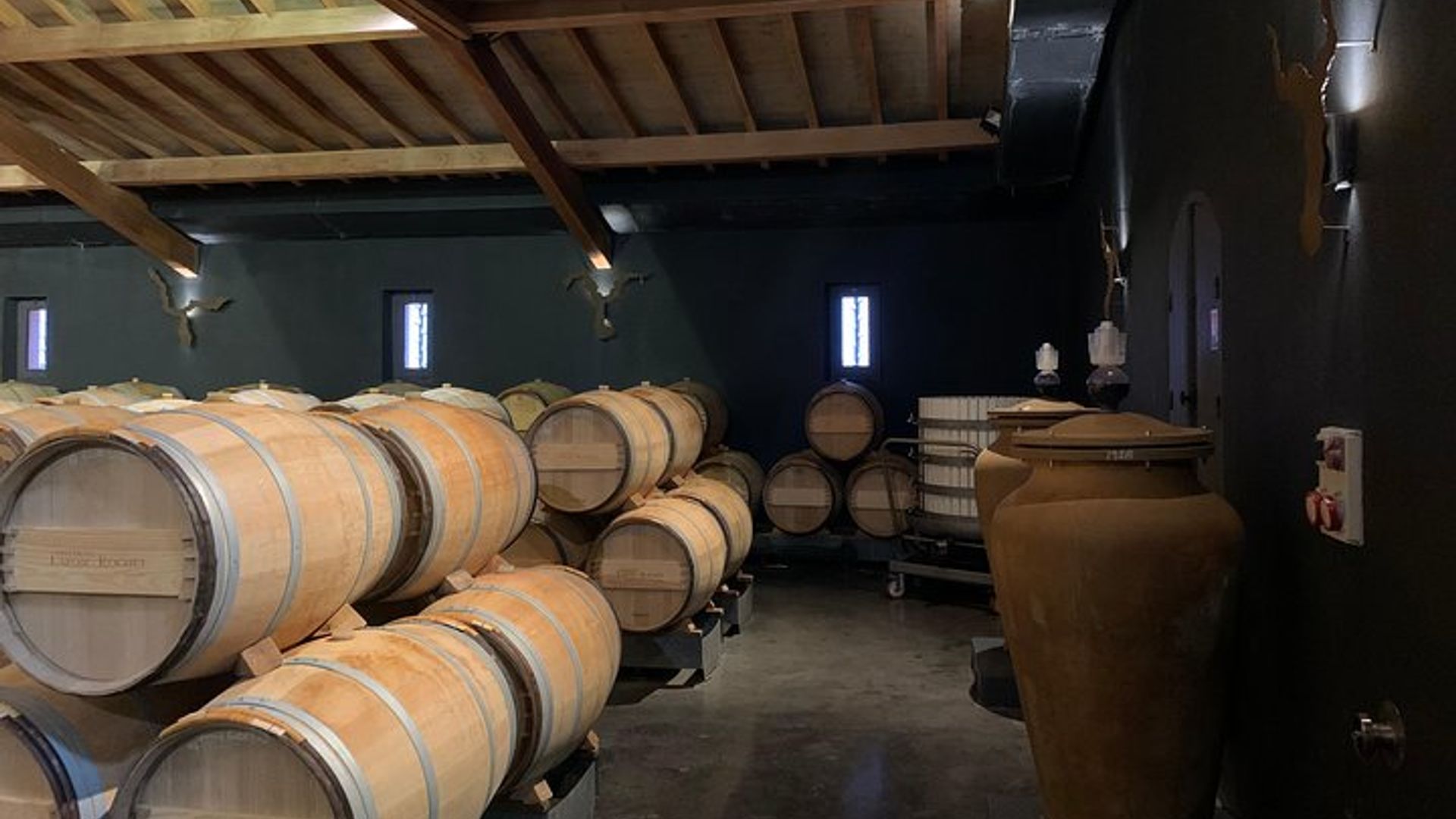 Tour Privé et visites sur la Route des Châteaux du Médoc (Minivan Luxe)