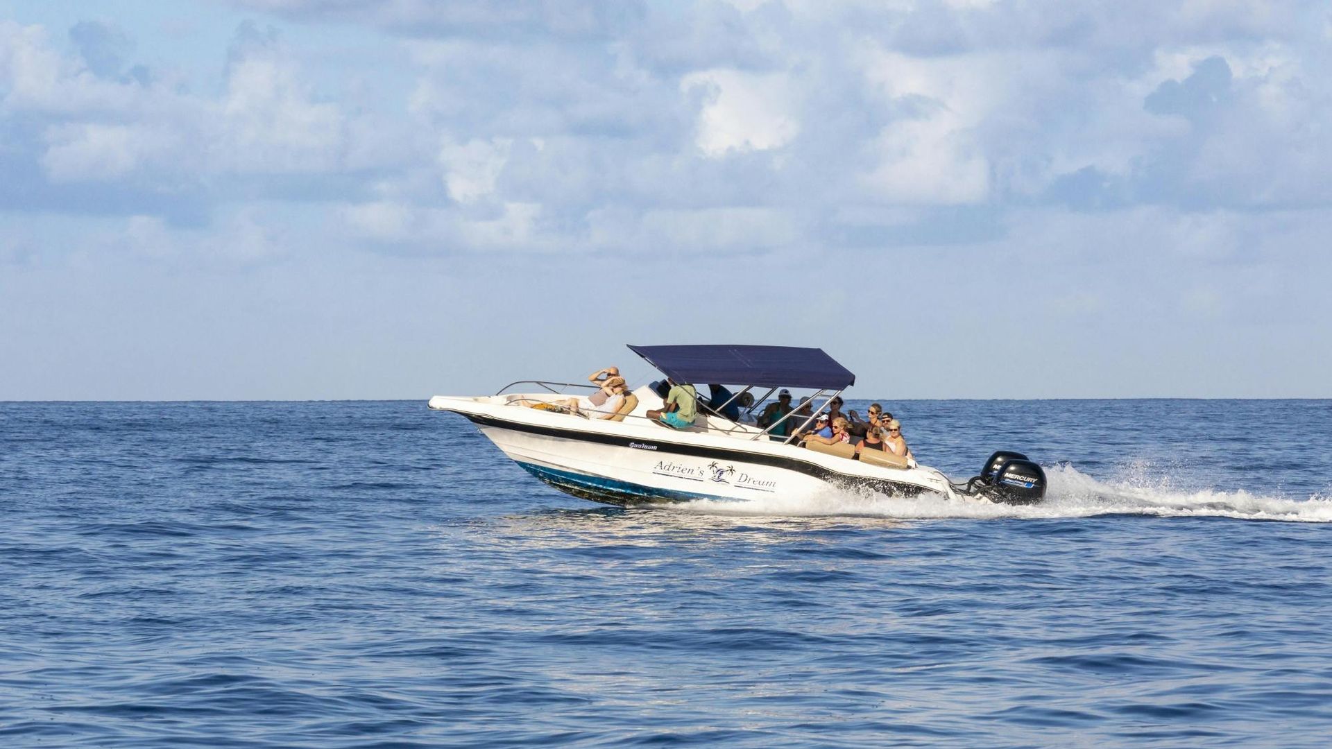 Mauritius whale watching speedboat tour