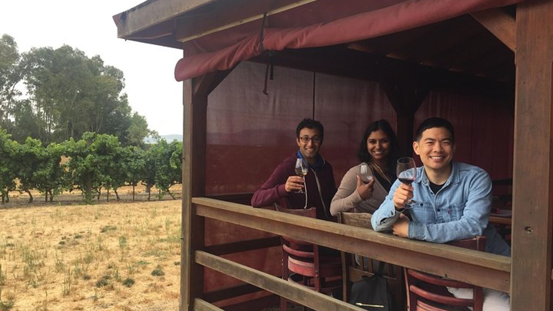 Sonoma Wine Country Small-Group Vineyard Tour with Tastings image 3