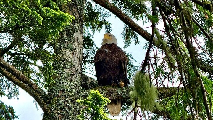 Private 3 Hour Photo Tour in Ketchikan Alaska