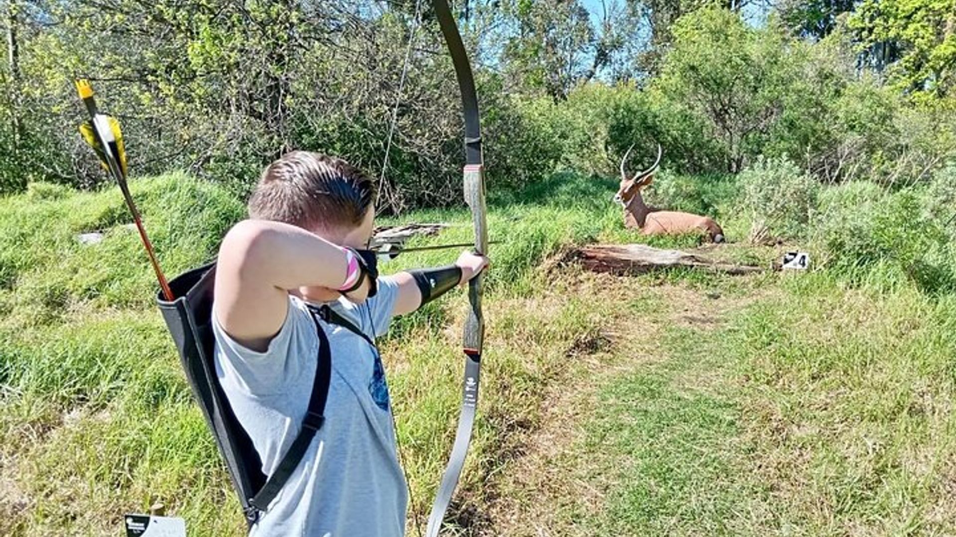 3D ARCHERY EXPERIENCE (1,5 guided tour) in Somerset West