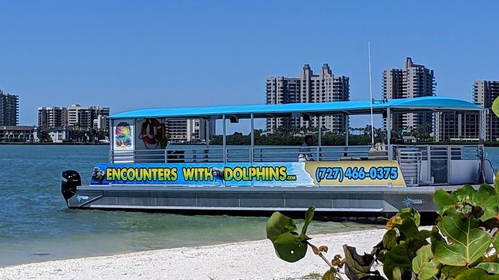 Clearwater Dolphin Watching Tour