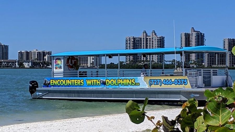 Clearwater Dolphin Watching Tour
