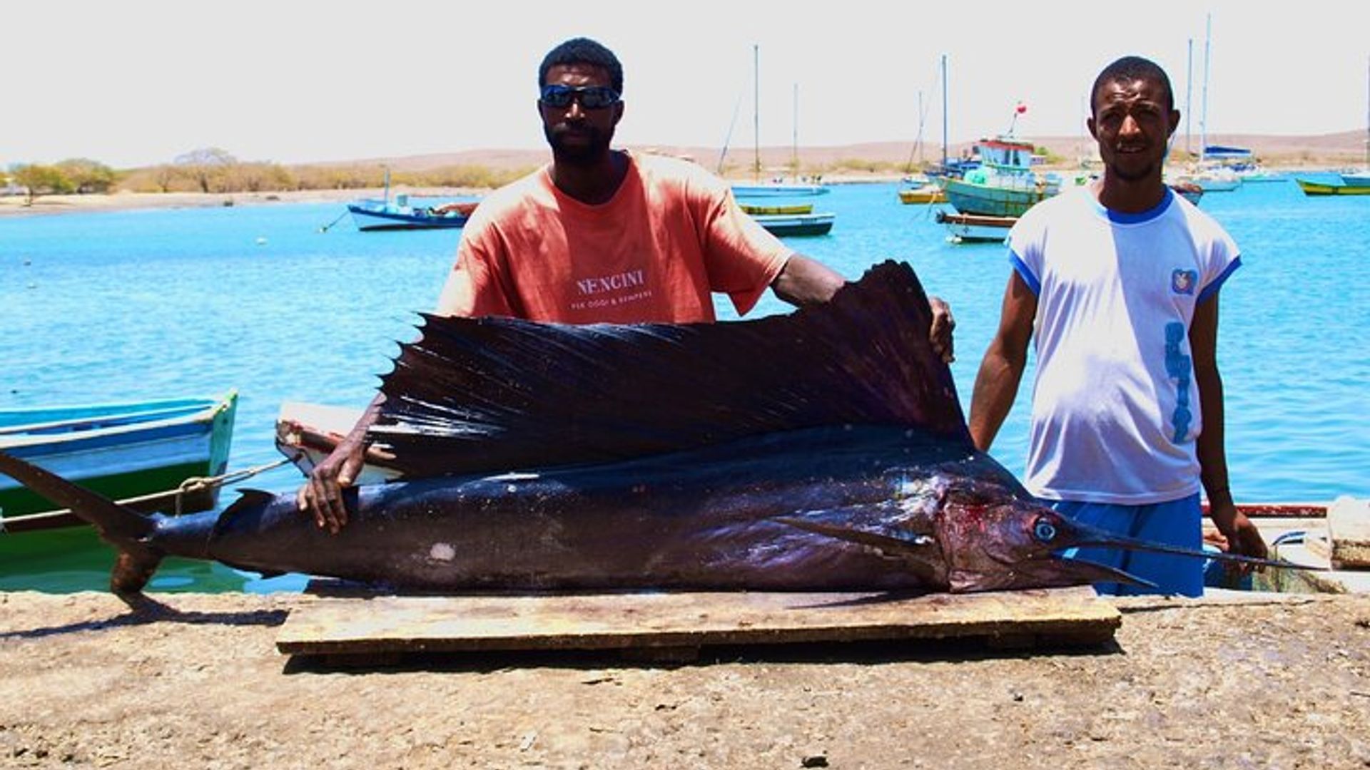 Full Day Sal Island Tour in Santa Maria