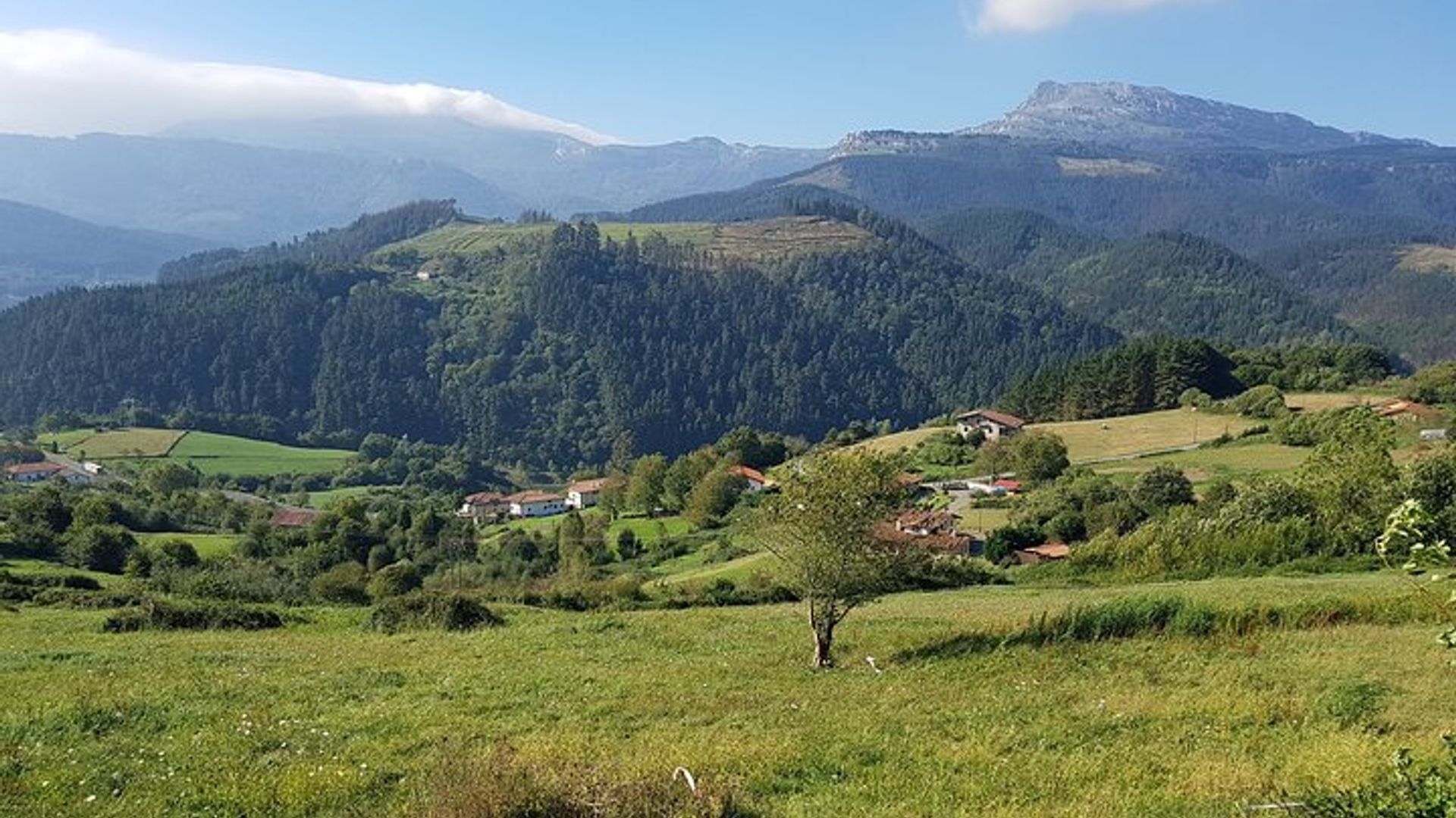 Biscay Private Tour Visiting Villages, Forests and Valleys