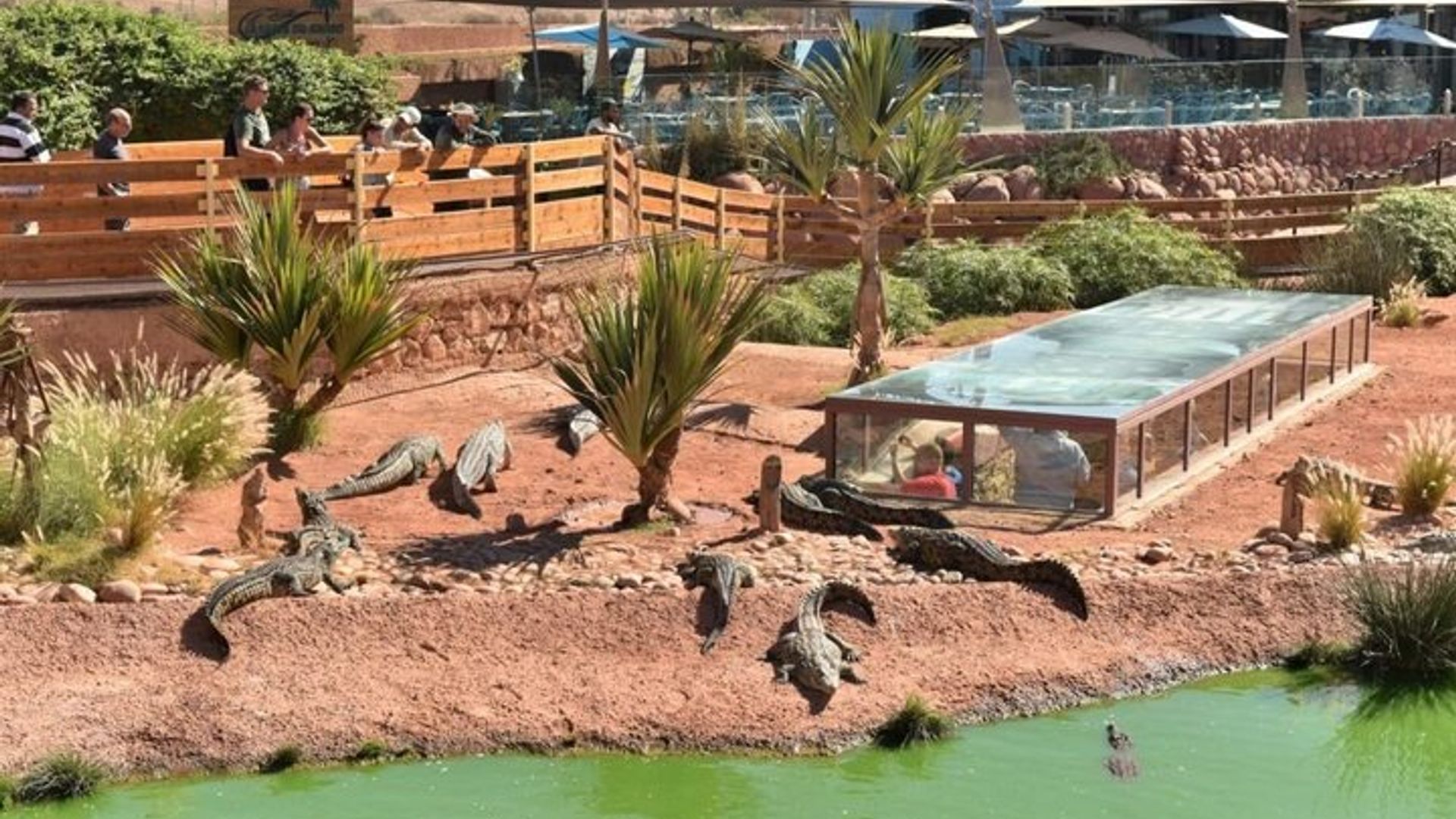 Crocoparc Agadir Tagesausflug mit Hin- und Rückfahrt