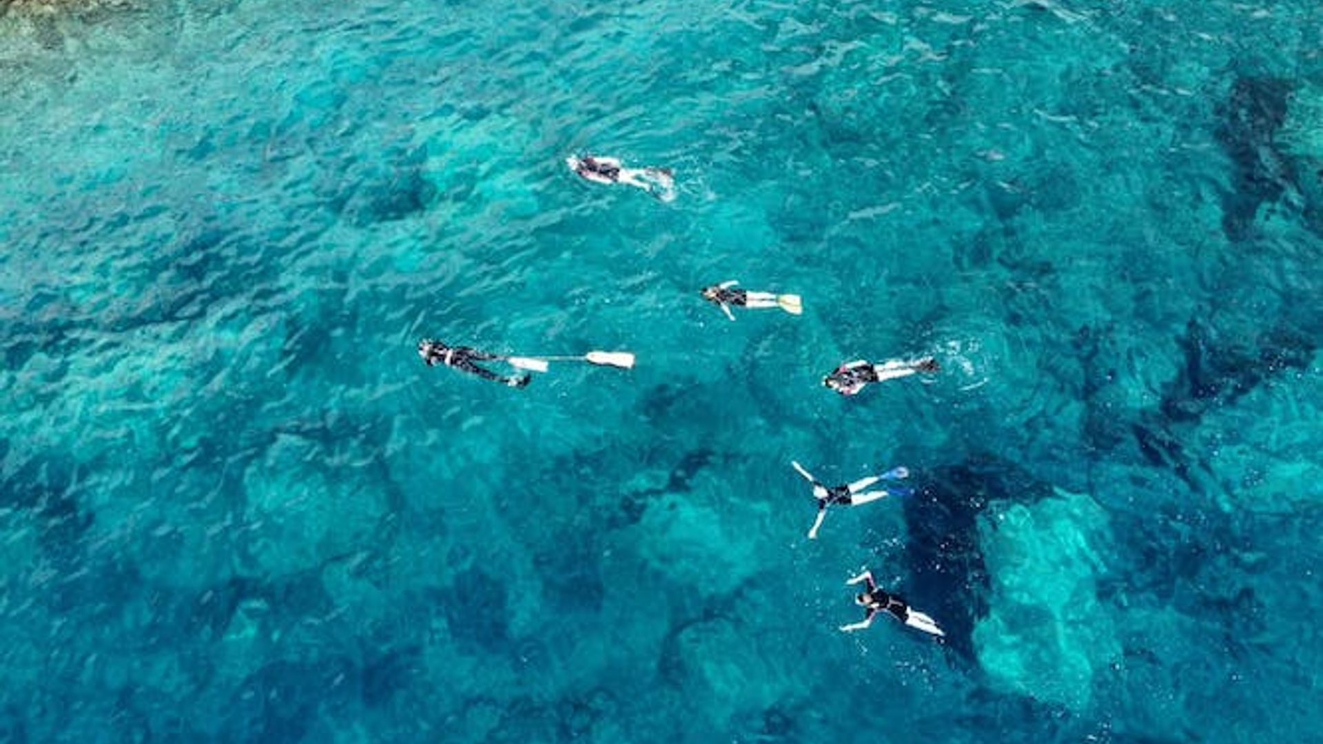 Tavolara protected area snorkeling experience from San Teodoro