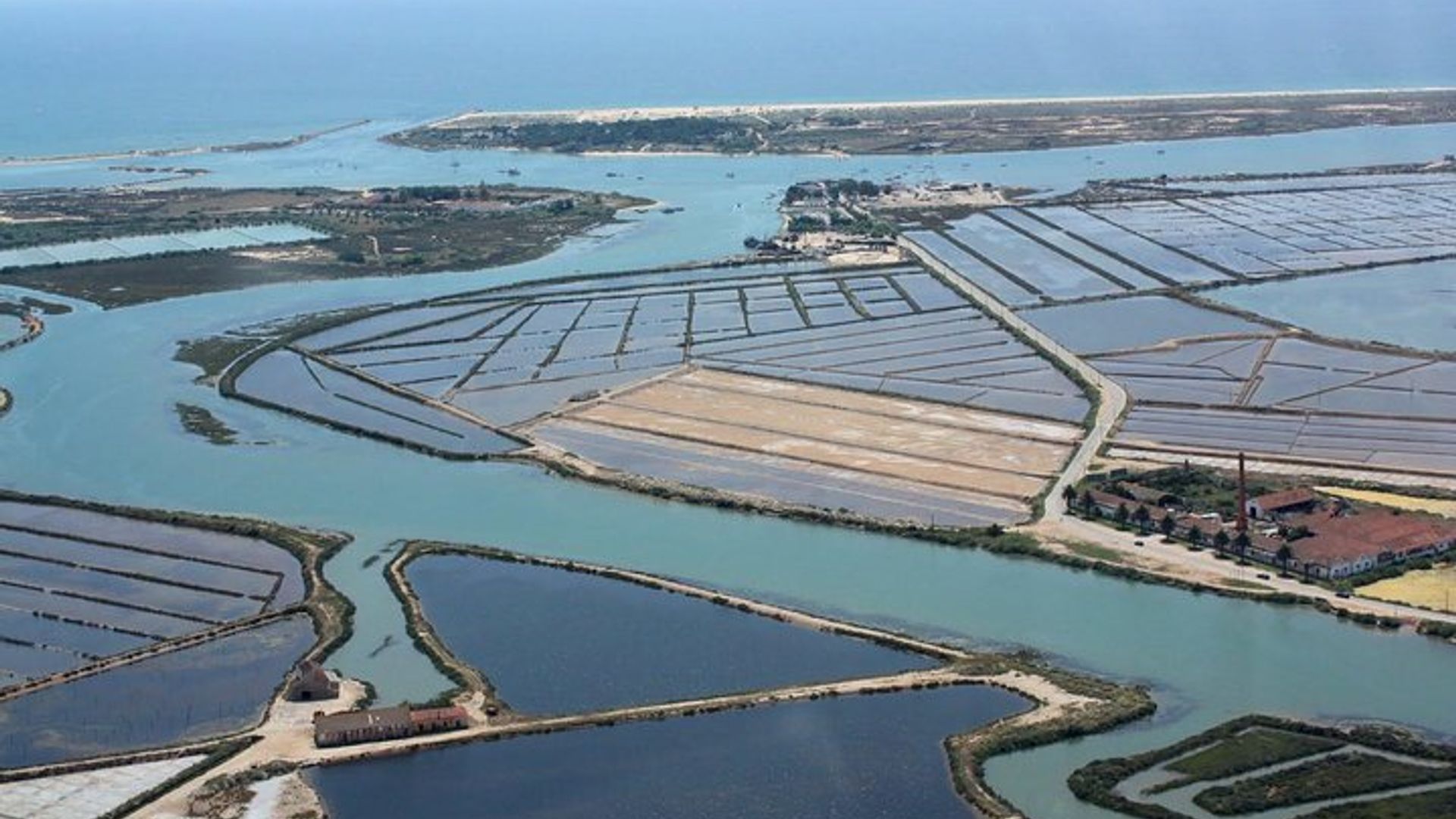 Route du poulpe: excursion d'une demi-journée en bateau