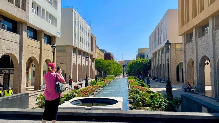 Private Guadalajara Walking Tour