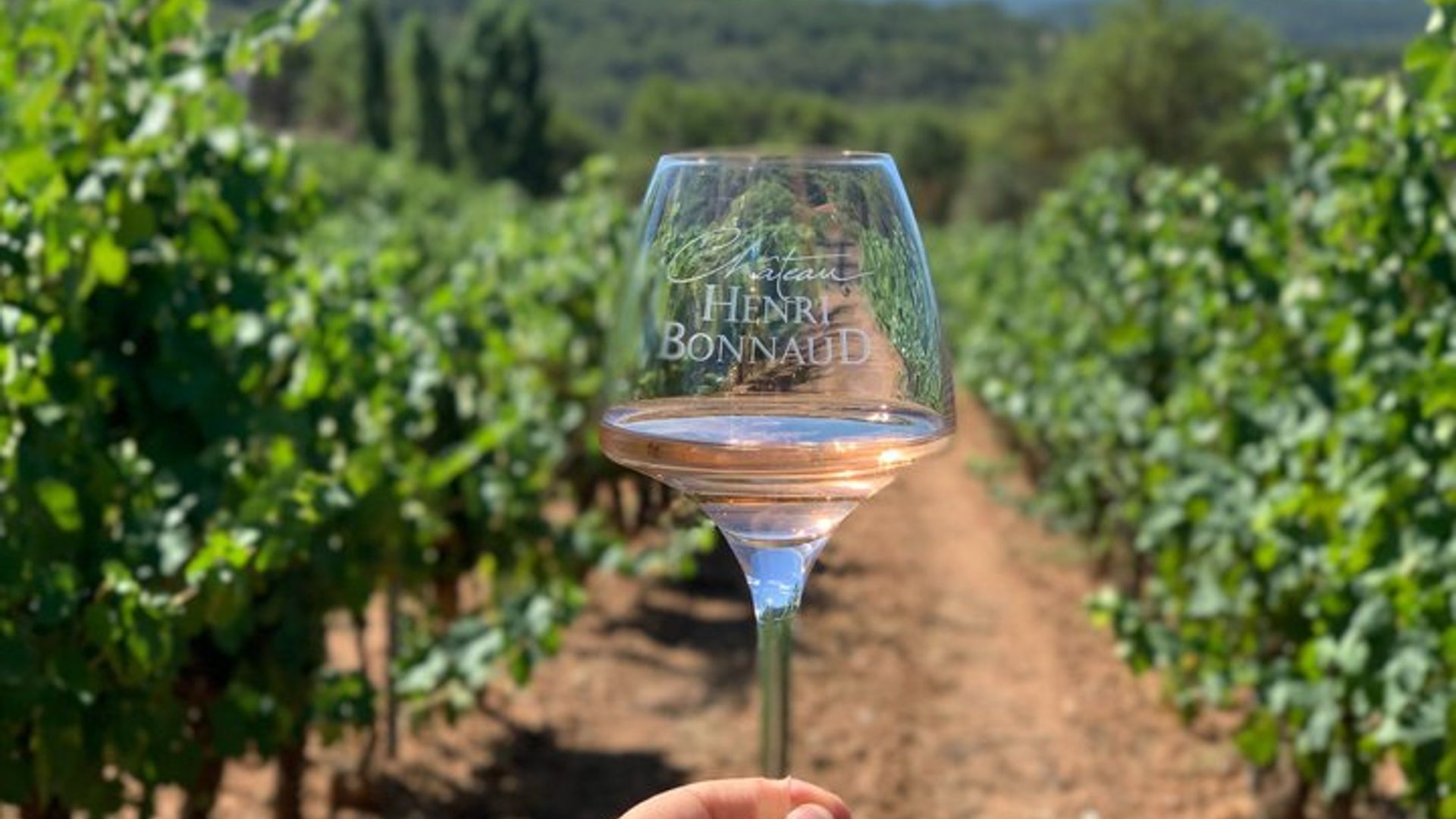 Englisch - Provence Weintour in der Nähe von Aix-en-Provence