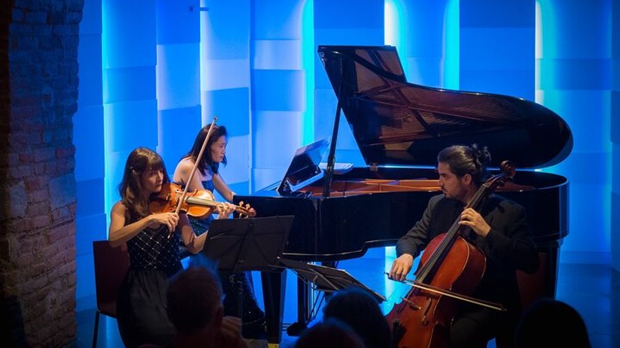 Concerts at the Mozarthaus Vienna