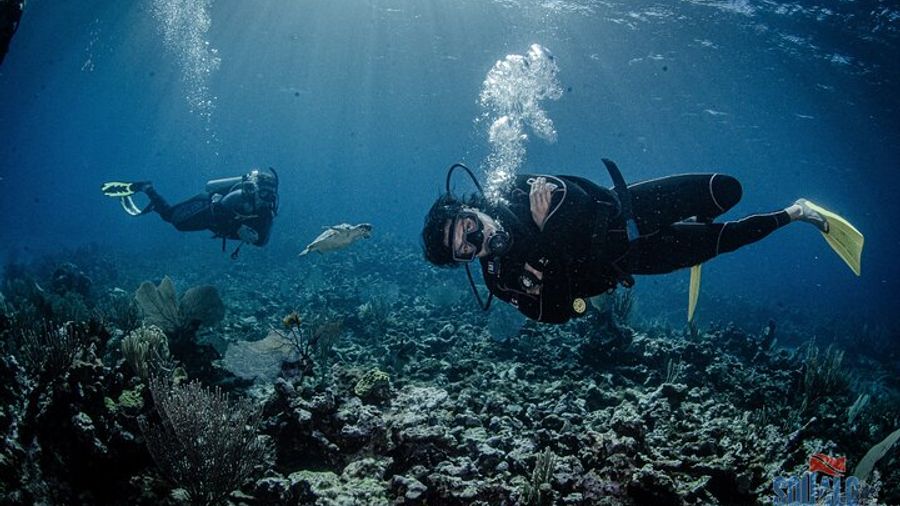 Isla Mujeres: MUSA Underwater Museum Small-Group Diving Tour