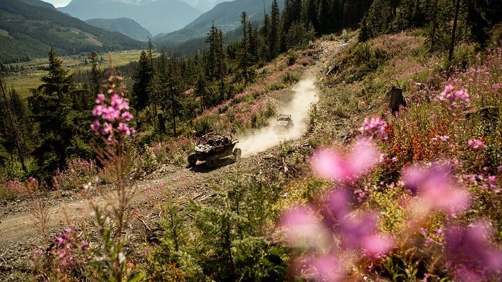 Whistler Small-Group Off-Road Side-by-Side Excursions
