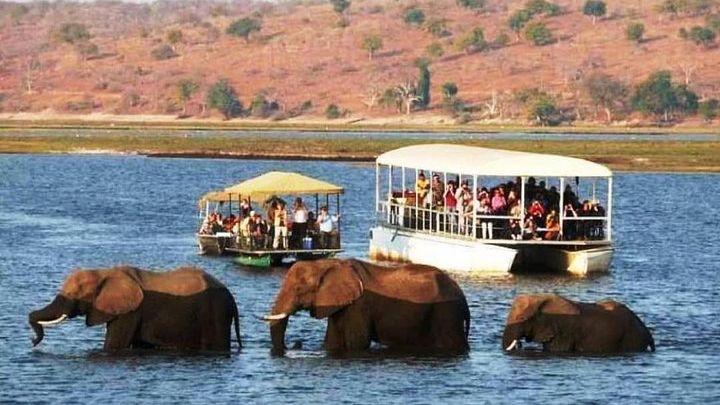 Chobe National Park Full-Day Safari Tour from Livingstone
