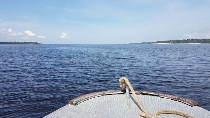 8-Hour Amazonas Jungle Treck & Anavilhanas Archipelago