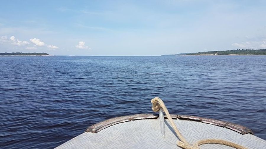 8-Hour Amazonas Jungle Treck & Anavilhanas Archipelago