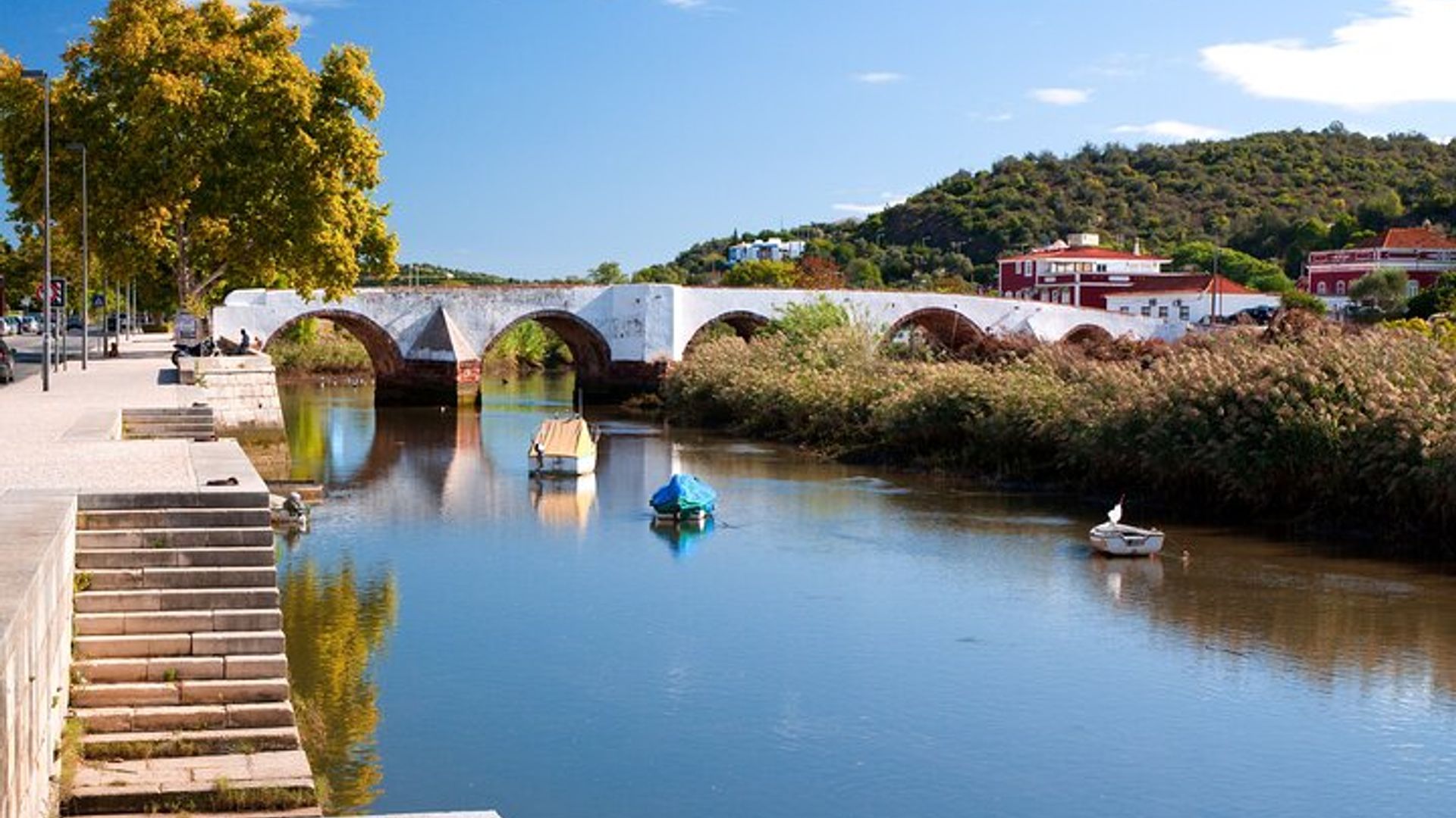 Albufeira Wine Tour: 2 Vineyards, 6 Tastings & Historic Silves