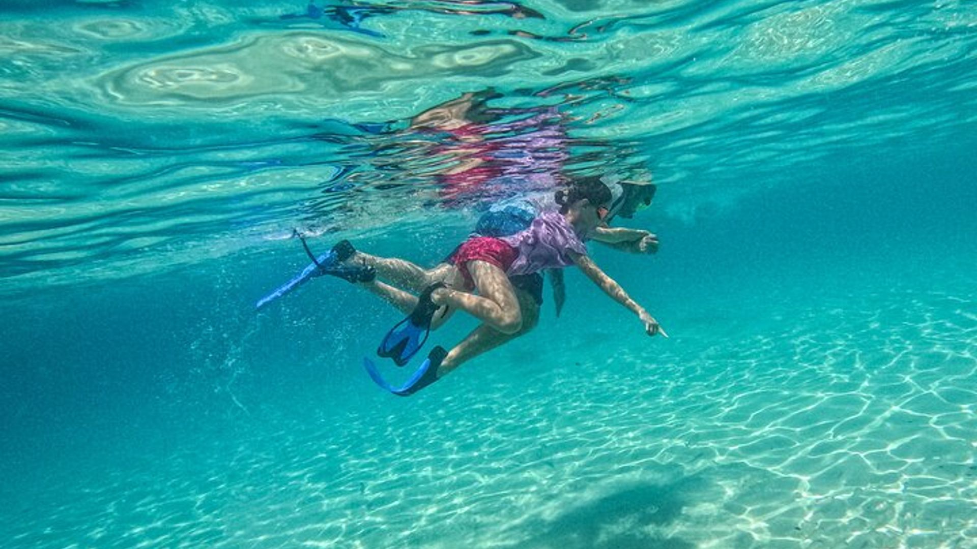 Destin Two Stop Snorkeling et Shelling Adventure