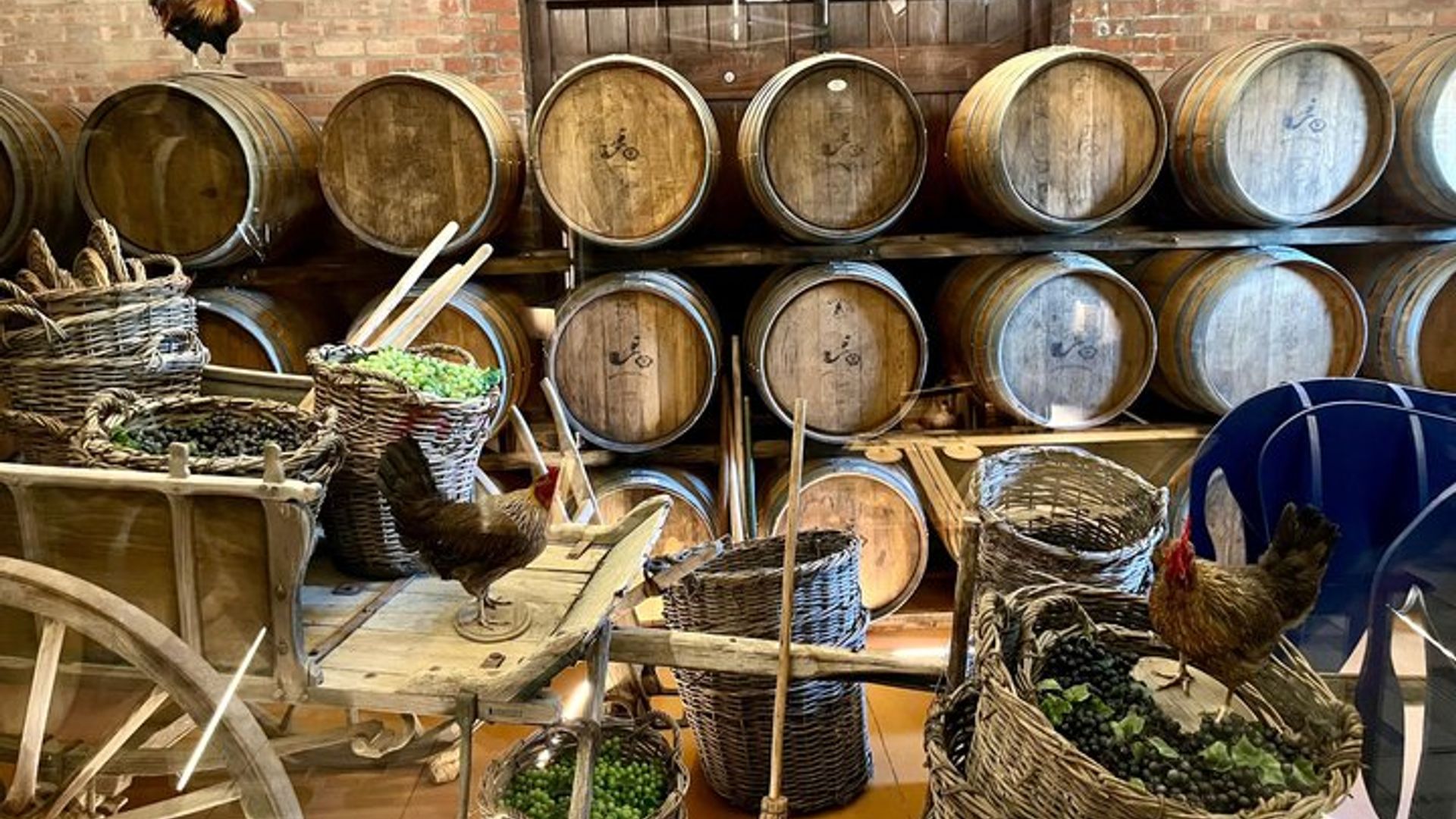 Privat : Sip & Explore Stellenbosch Wine Tour