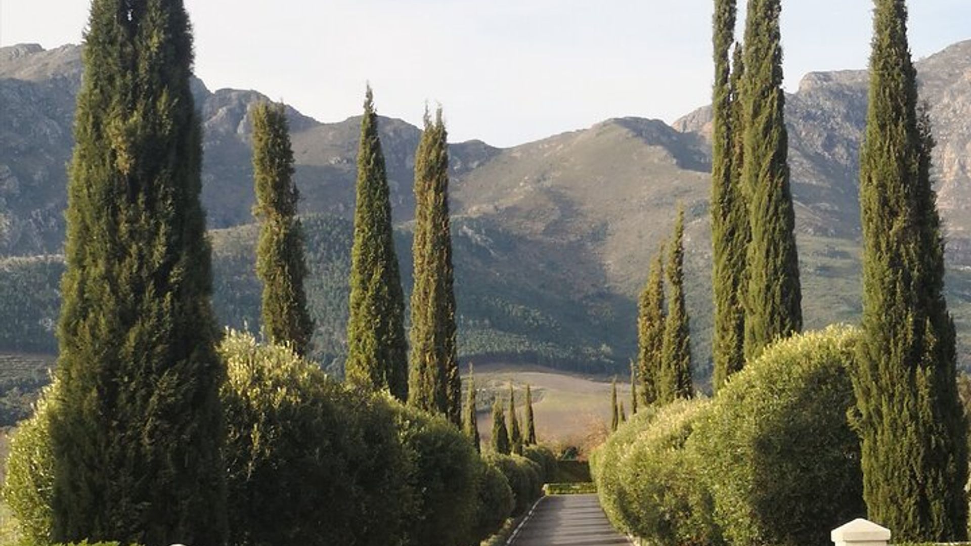 Private ganztägige Weinanbautour ab Kapstadt nach Franschhoek