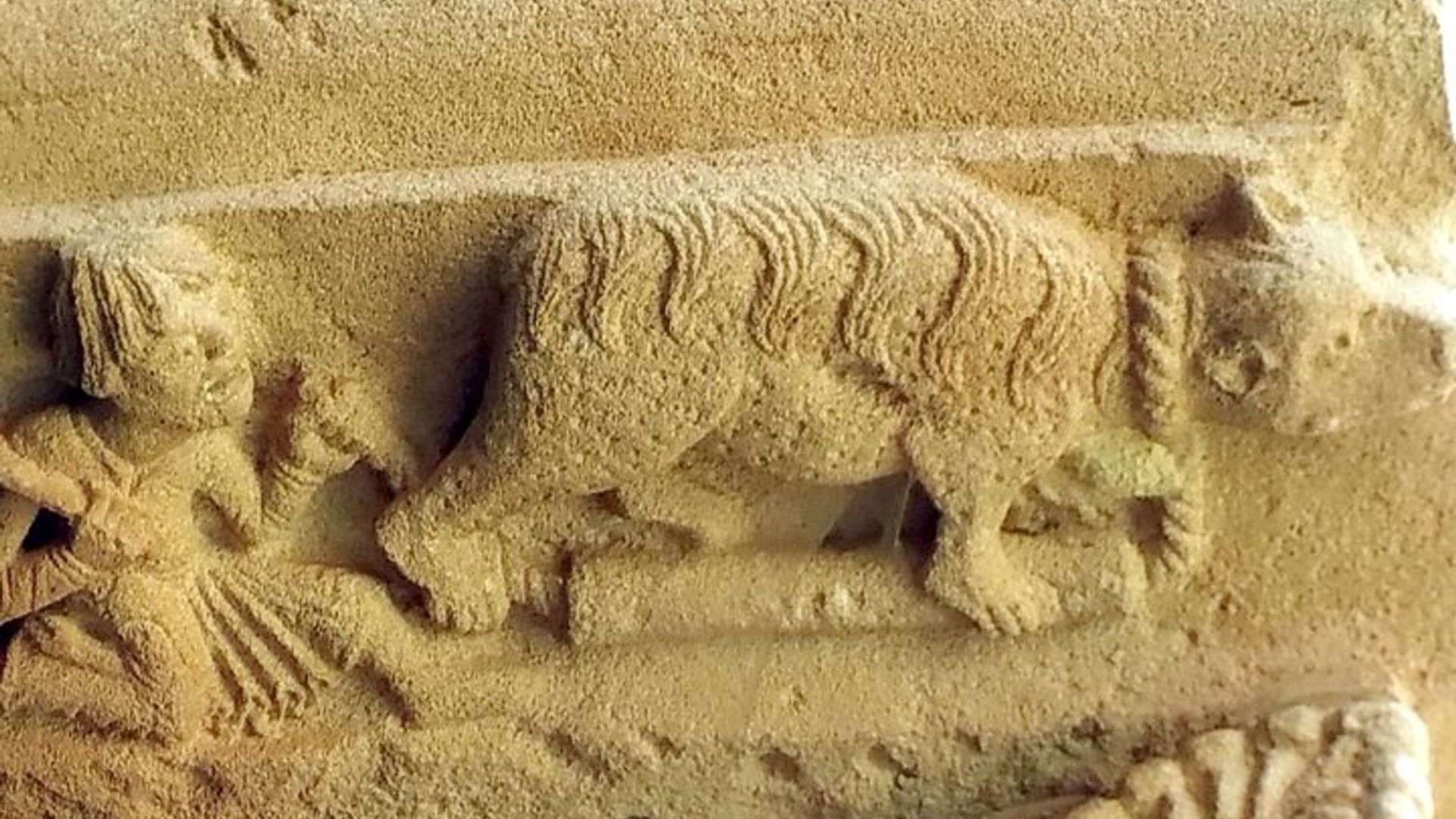 Visite guidée de Collonges la Rouge