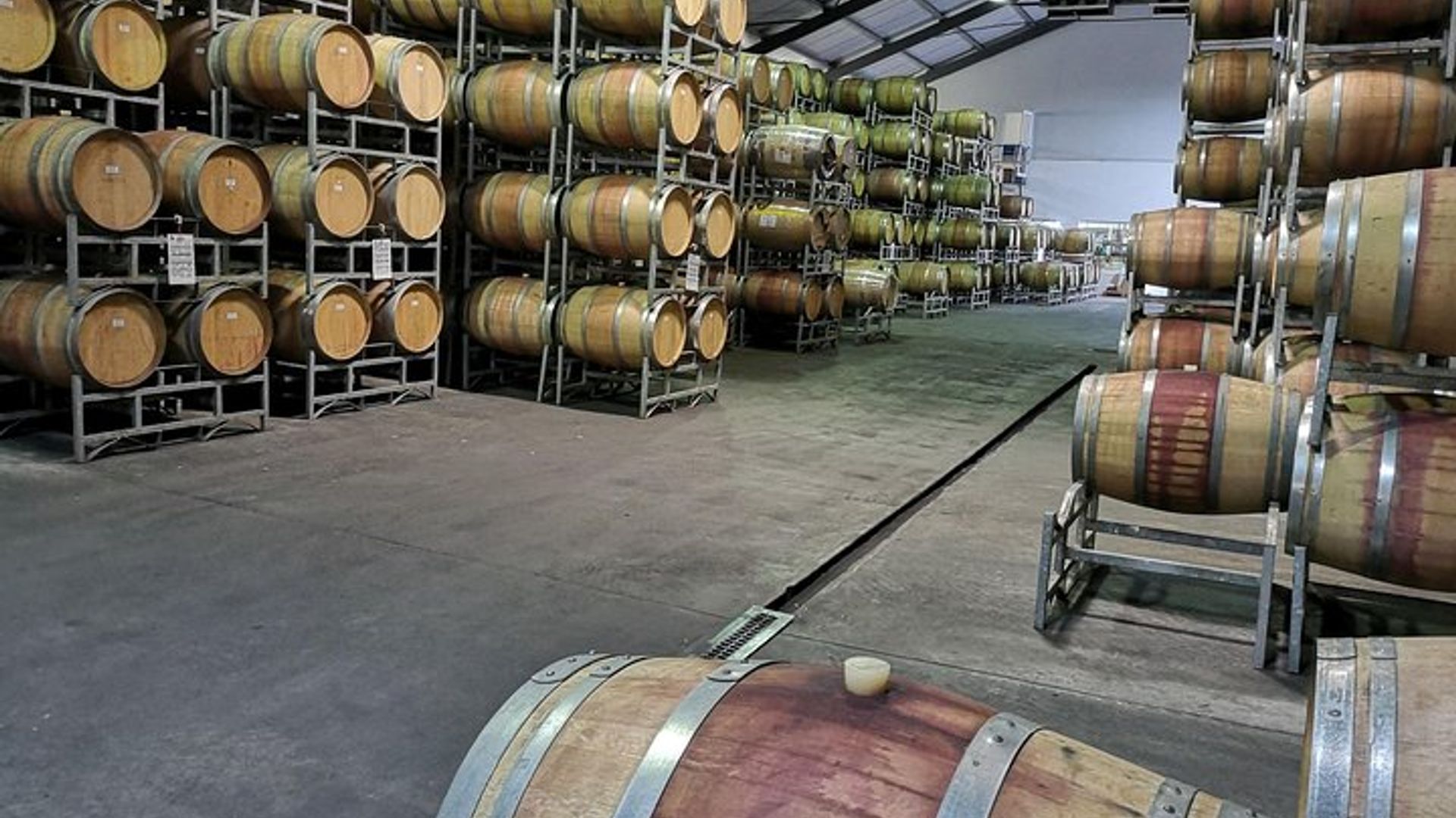 Excursión privada de un día completo a Cape Winelands desde Ciudad del Cabo