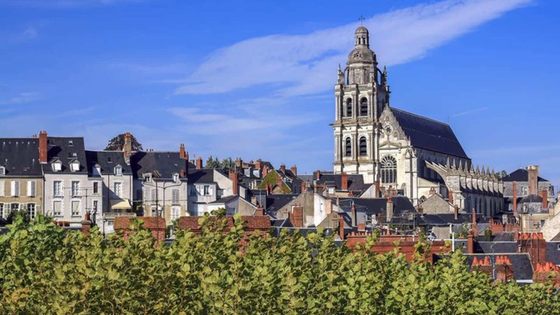 Bonjour Blois : Private 2 - Heure Intro City Walk avec Guide Local
