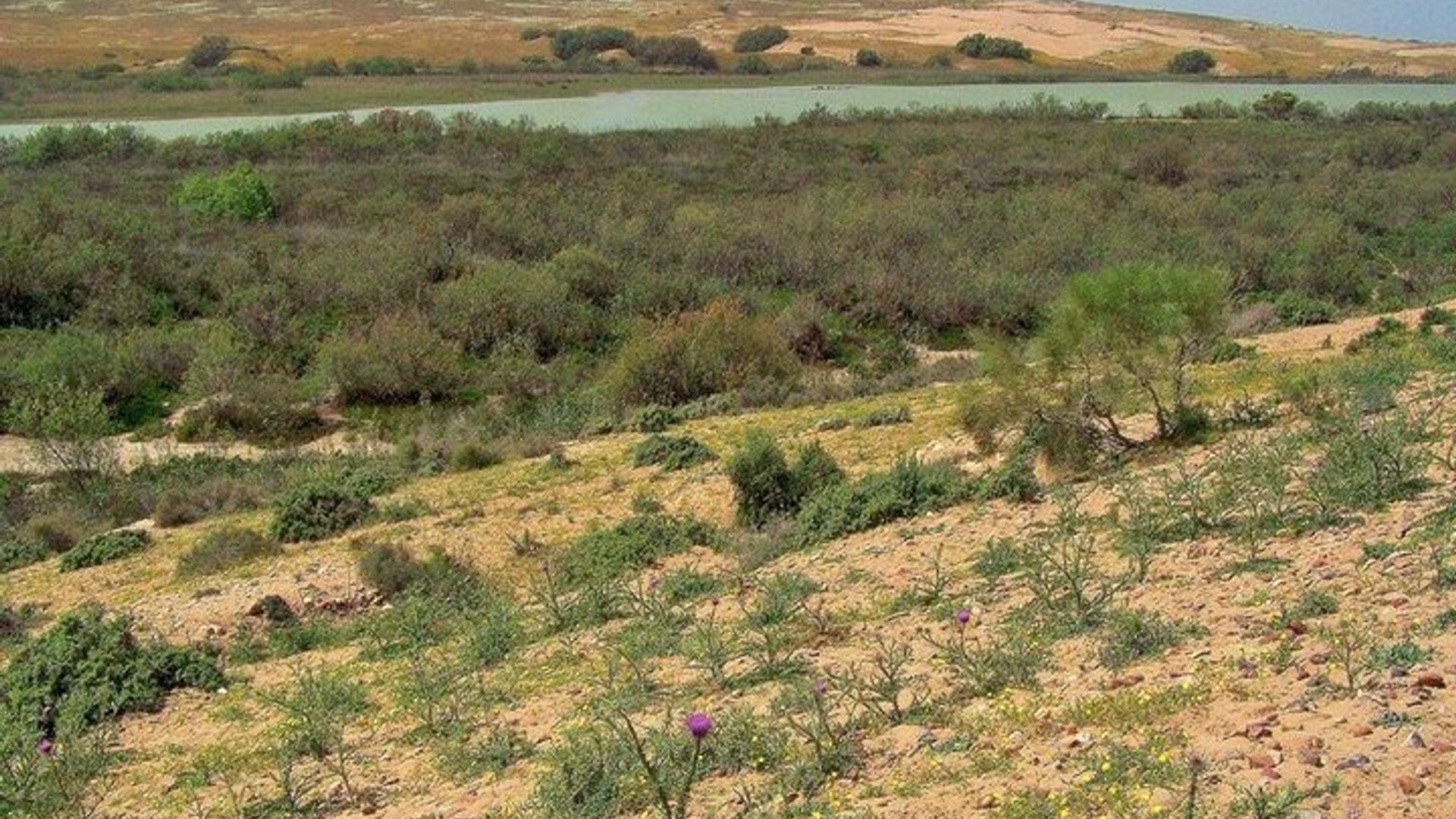 Parc National Souss Massa d'Agadir