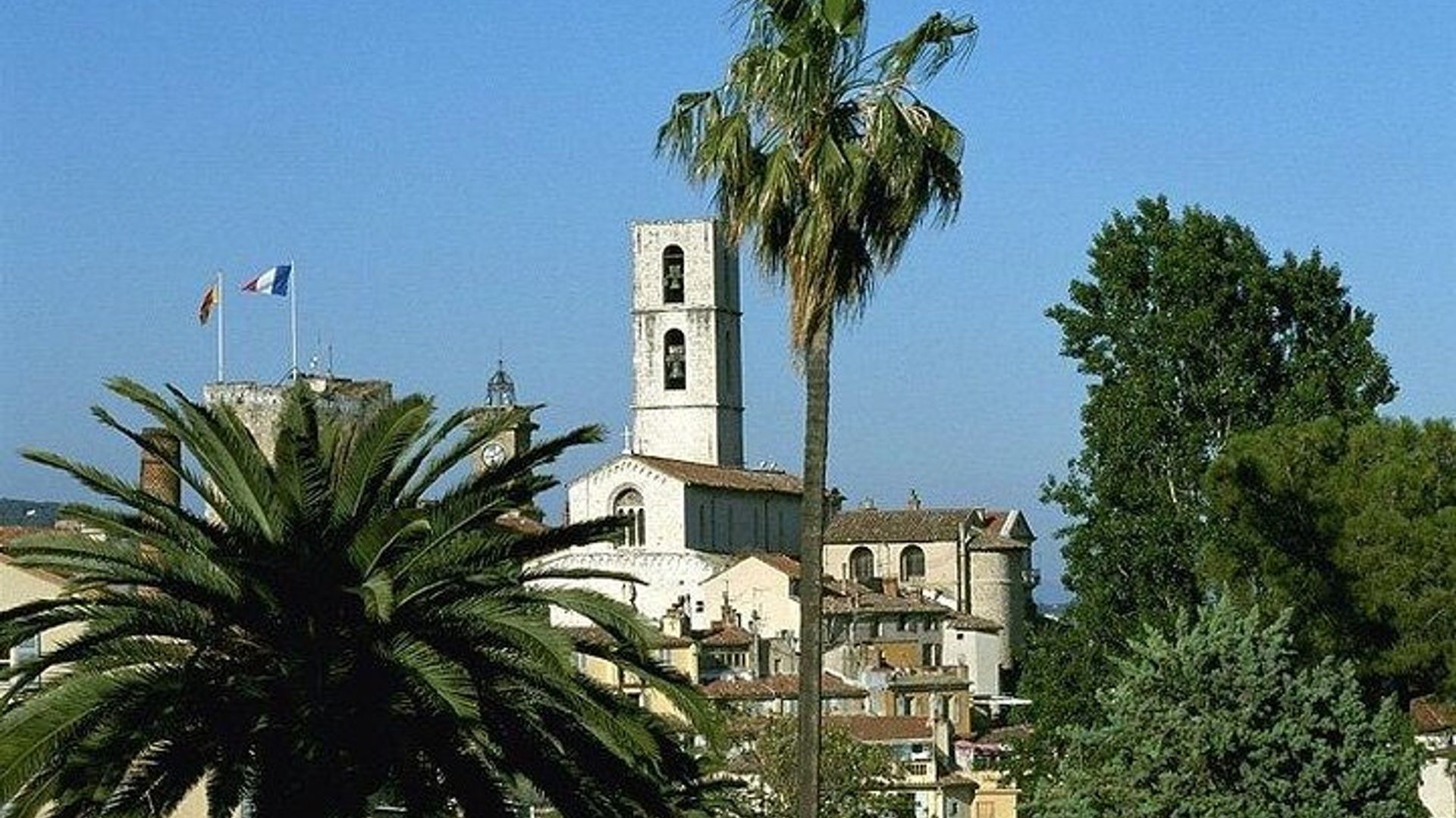 Campagne et dégustation de vins Excursion d'une journée au départ de Cannes
