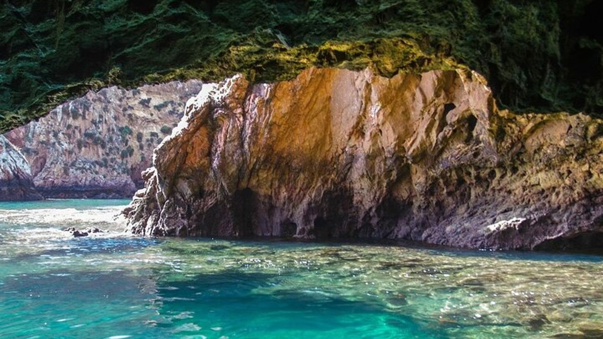 Berlenga Grande Island Private Tour from Lisbon