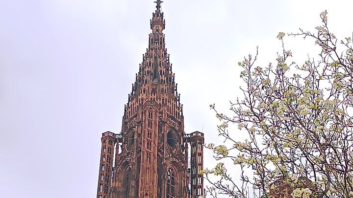 Guided Tours of Strasbourg Cathedral