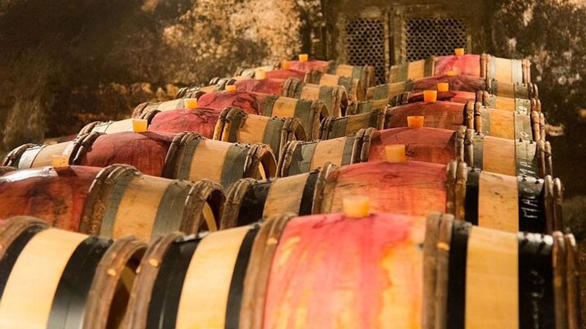 Dijon Wine Tour Côte de Nuits and Côte de Beaune Vineyards