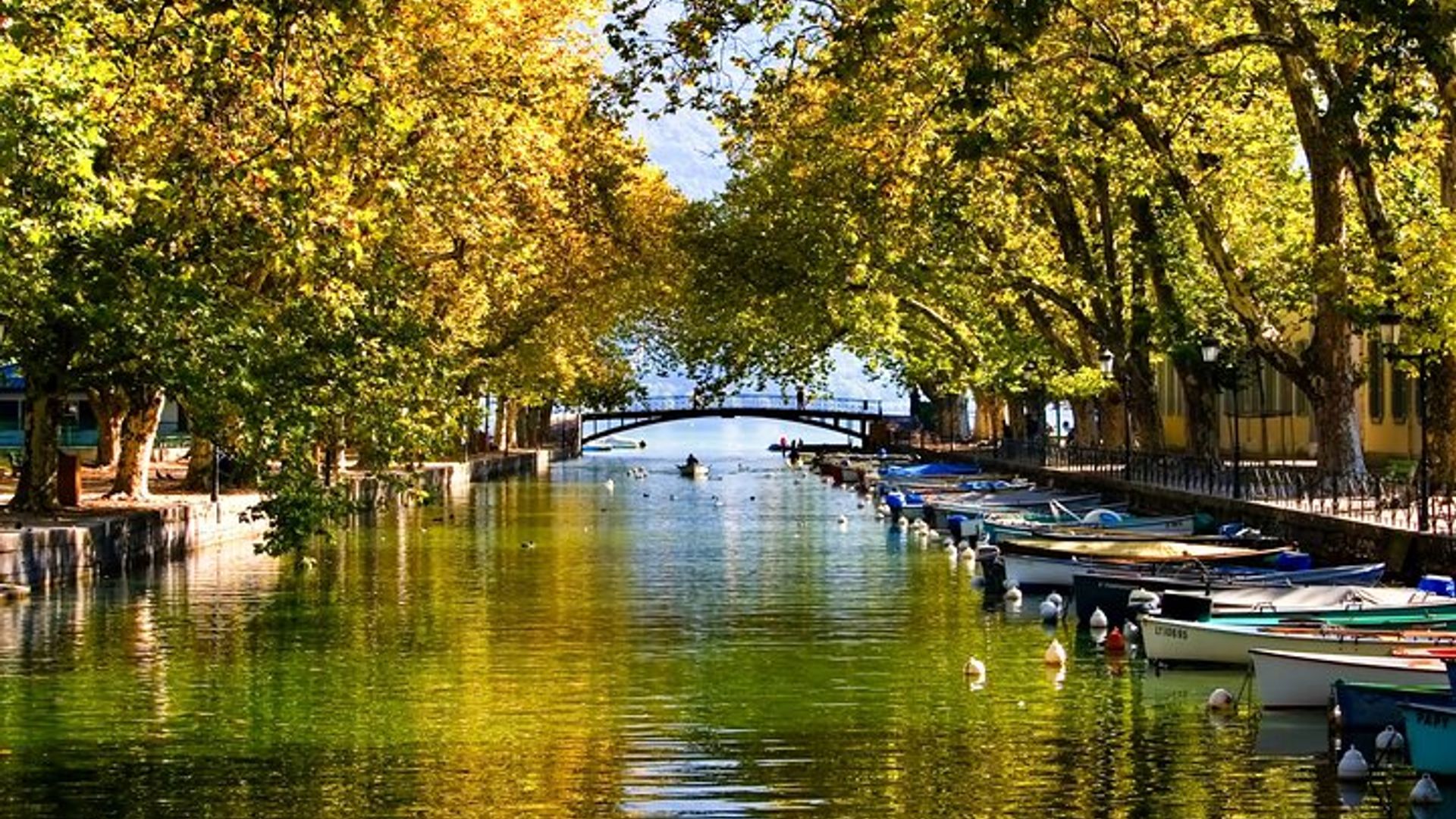 Discover the Hidden Gems from Geneva to Annecy
