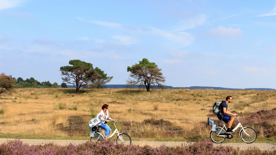 De Hoge Veluwe National Park