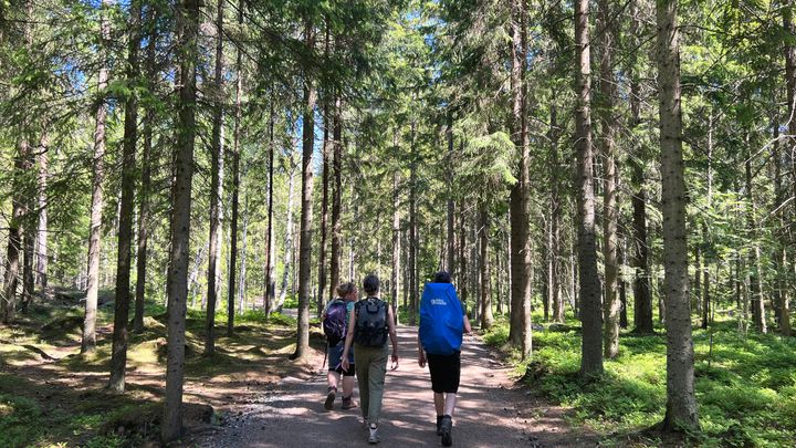 Private National Park and Porvoo Old Town tour from Helsinki