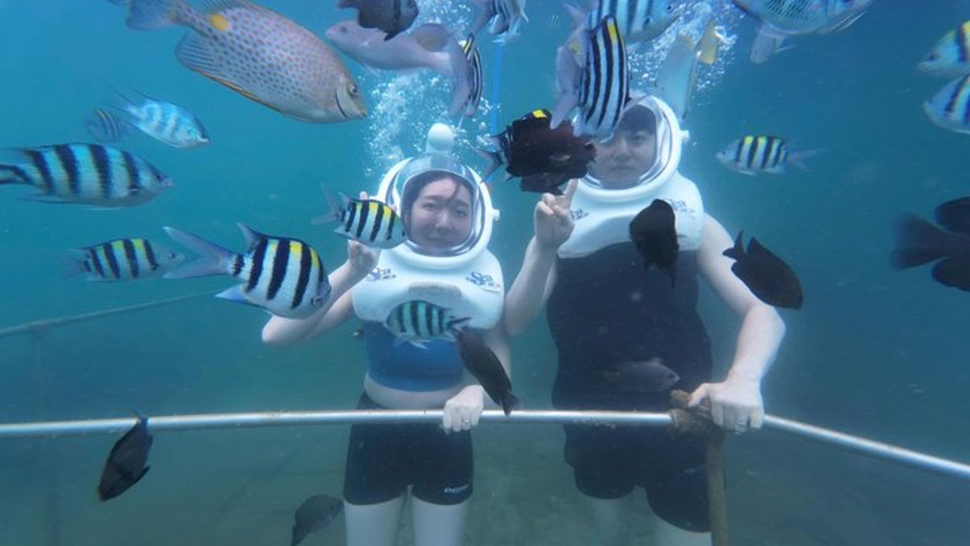 Cham Islands Ganztageskreuzfahrt: Unterwasserwandern, Schnorcheln