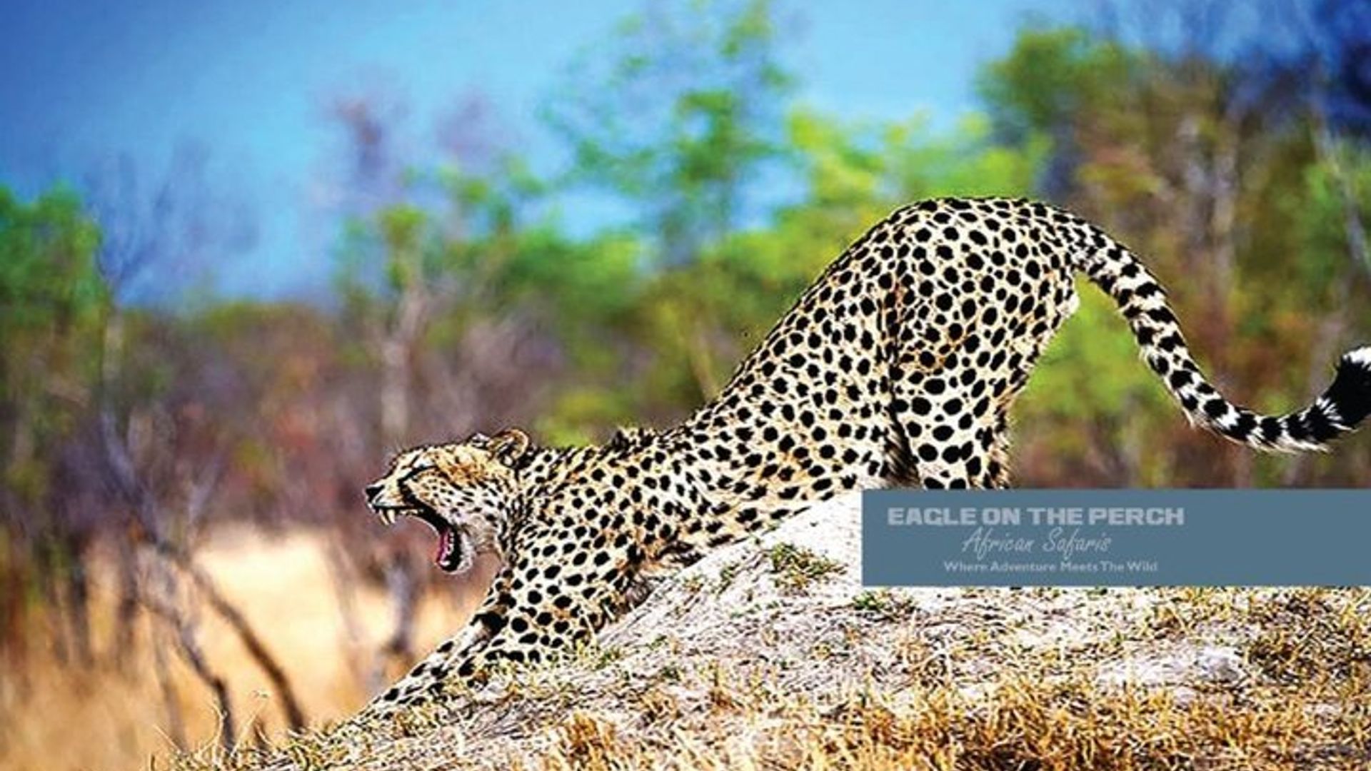 3 Day Victoria Falls Safari Trip Package in Zimbabwe and Zambia