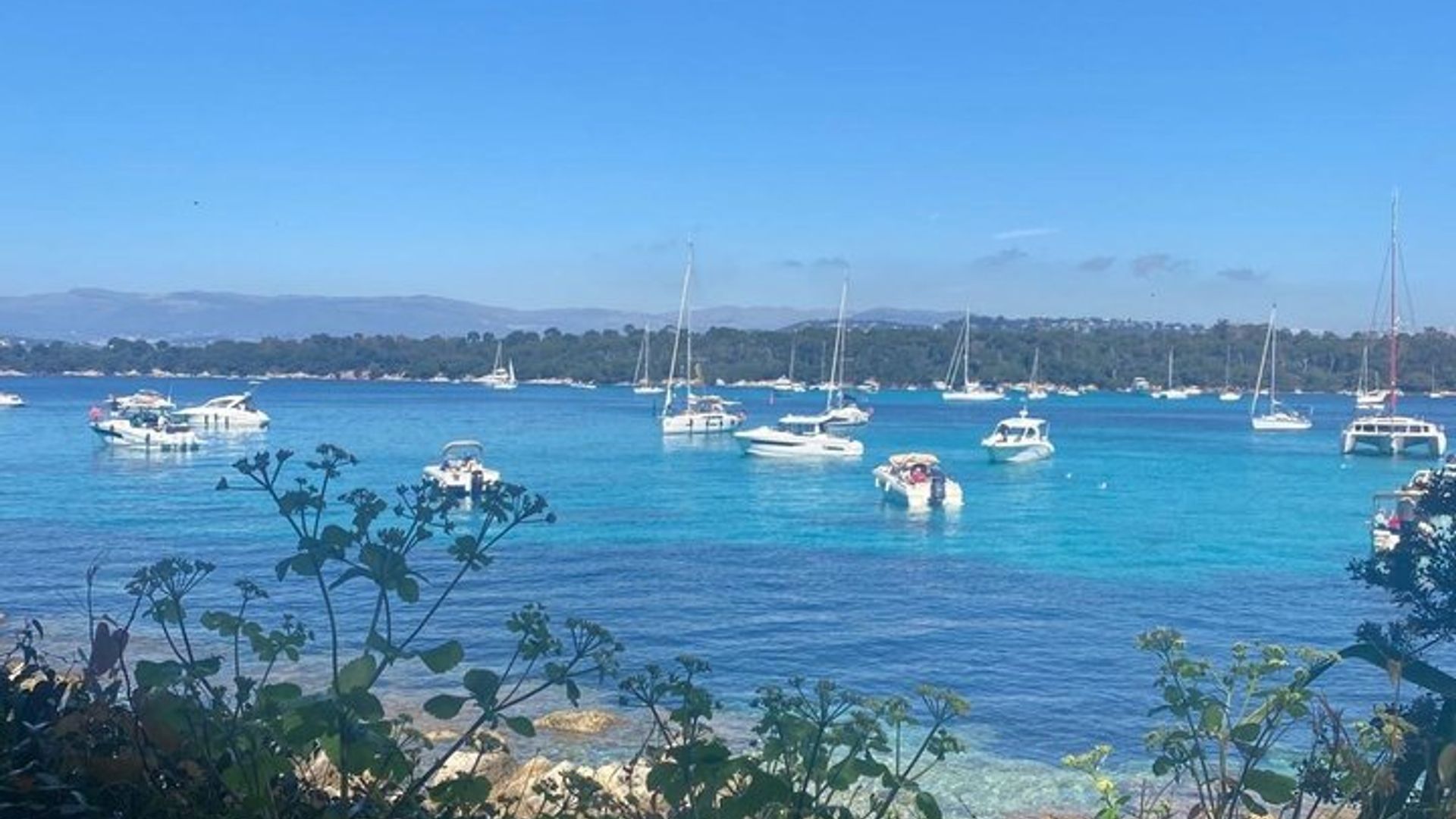 Cannes Lerins Inseln Private halbtägige Segel-Schnorcheltour