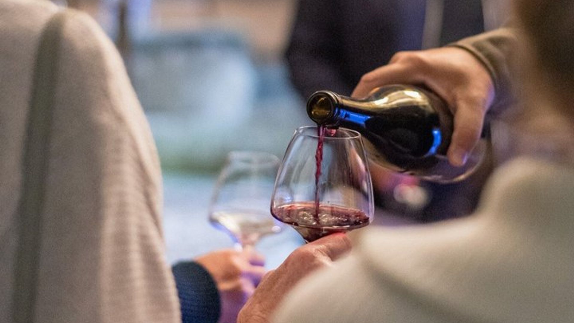 Descubrimiento de vinos en Domaine Beaumont Distré-Saumur