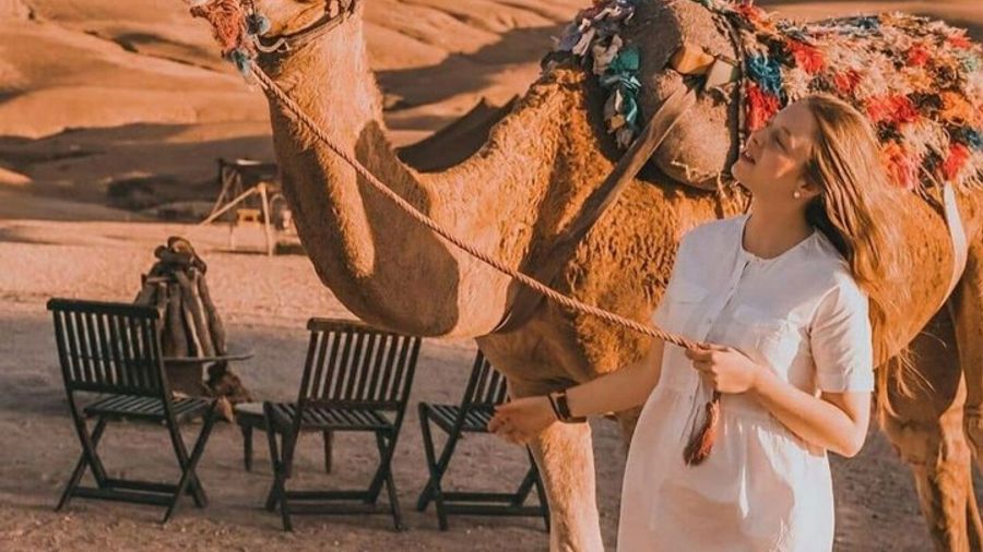 Agafay Desert Dinner and Camel Ride from Marrakech