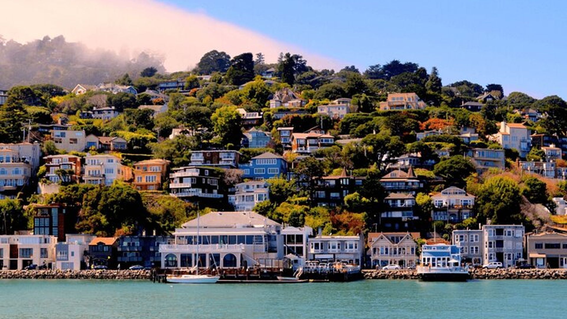 San Francisco Private City Tour with Muir Woods and Sausalito image 2