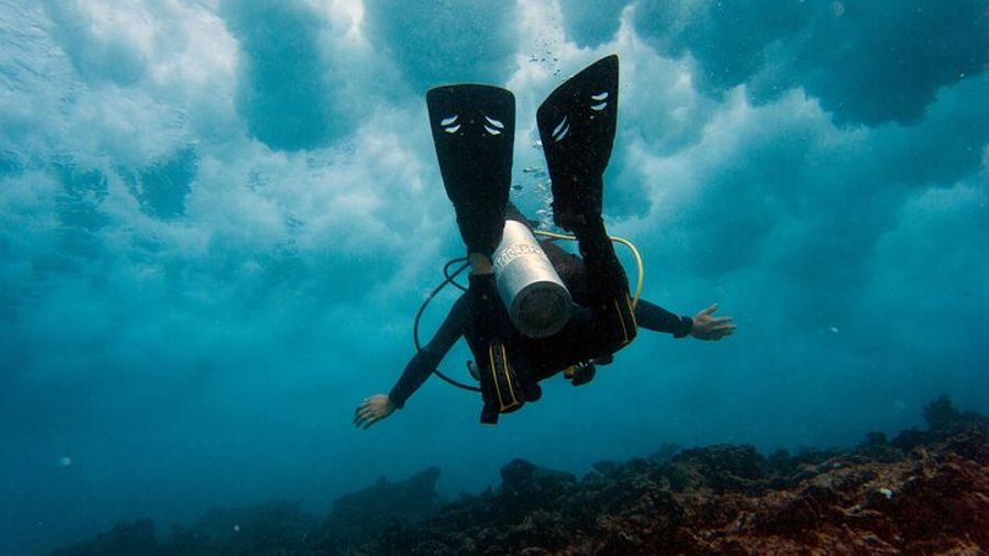 Cancun Personalized Scuba Diving Experience for Beginner