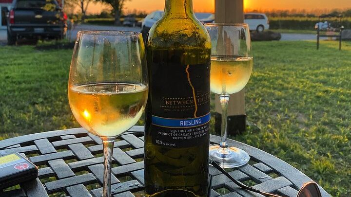 Niagara Falls: Evening Wine Tasting Tour With 3-Course Dinner